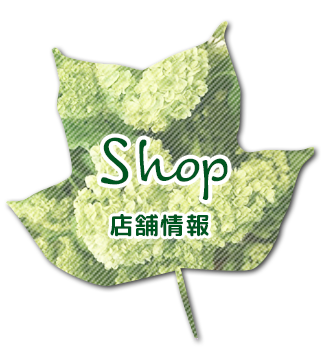 ショップ（店舗情報）|東戸塚の花屋 | フラワーショップ「ゆりの木」